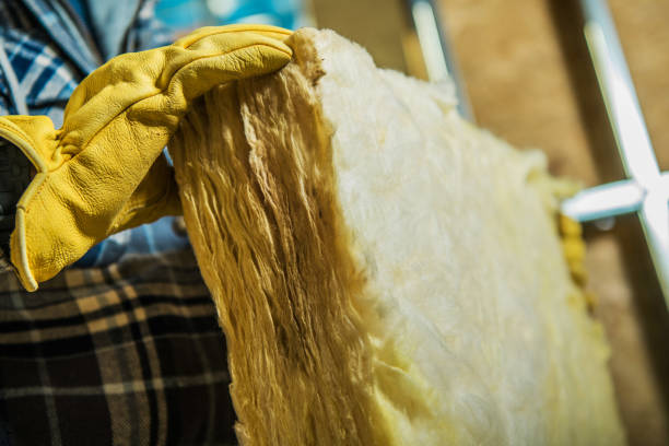 Best Insulation Repair Services  in Gautier, MS