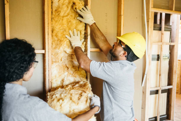 Best Attic Insulation Installation  in Gautier, MS
