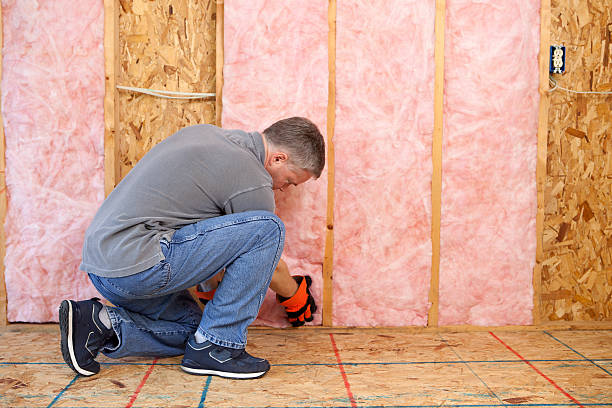 Best Home Insulation Services  in Gautier, MS